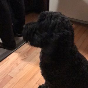 Meet your Posher, Judy